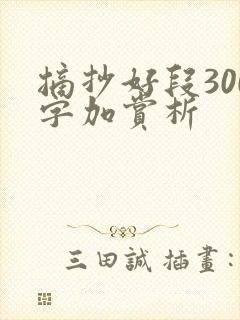 摘抄好段300字加赏析