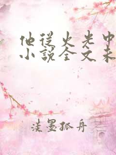 他从火光中走来小说全文未删减