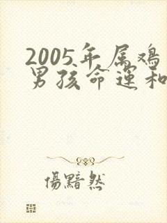2005年属鸡男孩命运和姻缘
