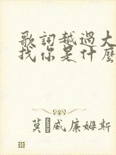 歌词越过大海寻找你是什么歌