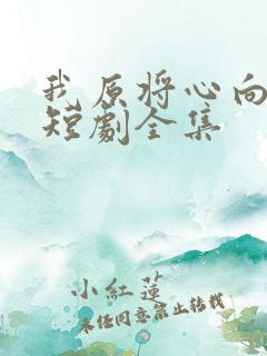 我原将心向明月短剧全集