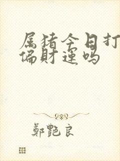 属猪今日打牌有偏财运吗