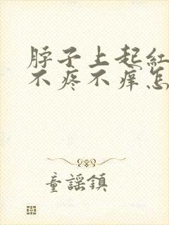 脖子上起红疙瘩不疼不痒怎么回事