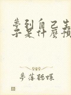 梦到自己生了儿子是什么预兆