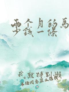 两个月的马犬多少钱一条