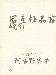 国产极品露脸在线91