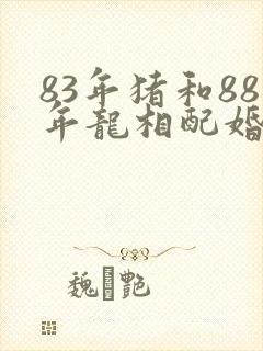 83年猪和88年龙相配婚姻如何