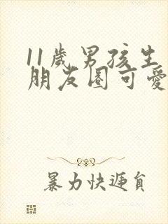 11岁男孩生日朋友圈可爱文案