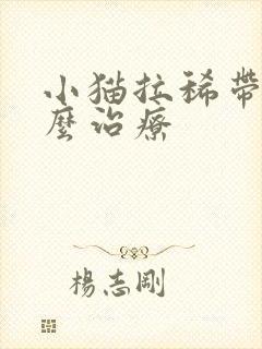 小猫拉稀带血怎么治疗