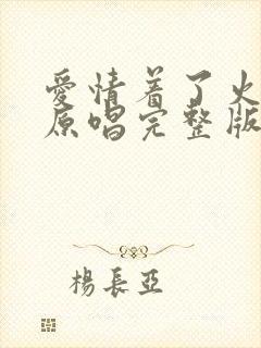 爱情着了火dj原唱完整版