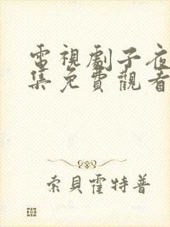 电视剧子夜归全集免费观看