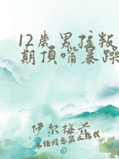 12岁男孩叛逆期顶嘴暴躁发脾气