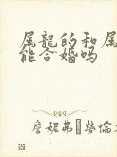 属龙的和属兔的能合婚吗