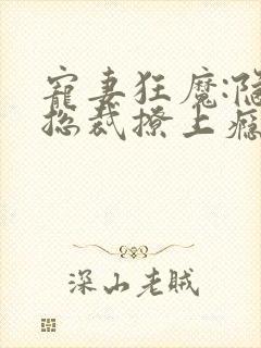 宠妻狂魔:隐婚总裁撩上瘾