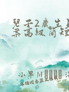 儿子2岁生日文案高级简短