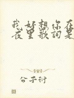 我好想你在每个夜里歌词是什么歌