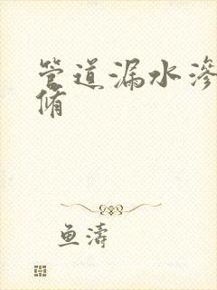 管道漏水渗水检修