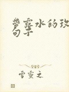 带露水的玫瑰花句子