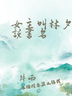 女主叫林夕的小说书名