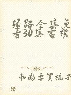 归路全集免费观看30集电视剧