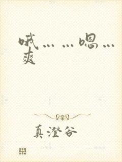 哦……嗯……好爽