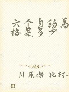 六个月的马犬价格是多少