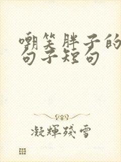 嘲笑胖子的精辟句子短句