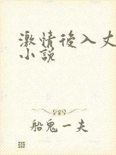 激情后入丈母娘小说
