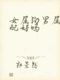 女属狗男属猴婚配好吗