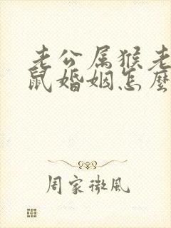 老公属猴老婆属鼠婚姻怎么样