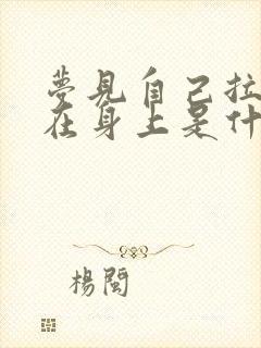 梦见自己拉大便在身上是什么预兆