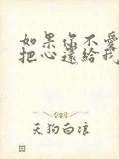 如果你不爱我就把心还给我歌词