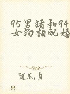 95男猪和94女狗相配婚姻如何