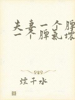 夫妻一个脾气好一个脾气坏