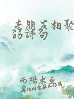 老朋友相聚开心的诗句