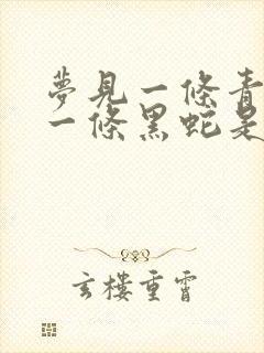 梦见一条青蛇和一条黑蛇是什么预兆