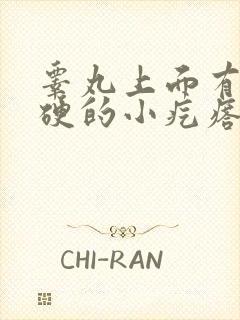 睾丸上面有个硬硬的小疙瘩,而且疼