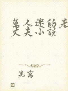 万人迷的老实人丈夫小说