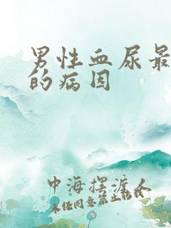 男性血尿最常见的病因