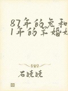 87年的兔和91年的羊婚姻如何