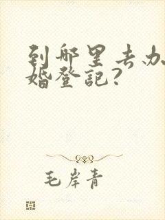 到哪里去办理离婚登记?