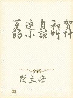 夏连月和贺昀洲的小说叫什么名字