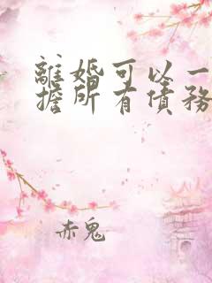 离婚可以一方承担所有债务吗