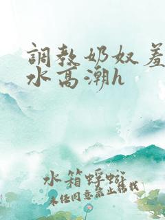 调教奶奴羞辱喷水高潮h