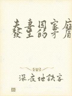 夫妻因家庭琐事发生的矛盾纠纷