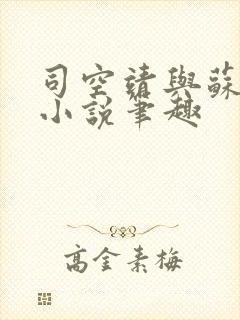 司空靖与苏月汐小说笔趣