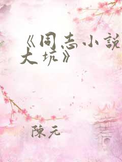 《同志小说东北大坑》