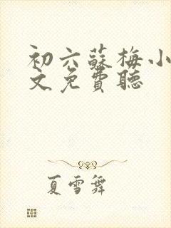 初六苏梅小说全文免费听