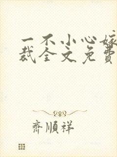 一不小心嫁了总裁全文免费阅读