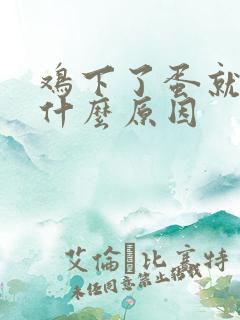 鸡下了蛋就吃是什么原因